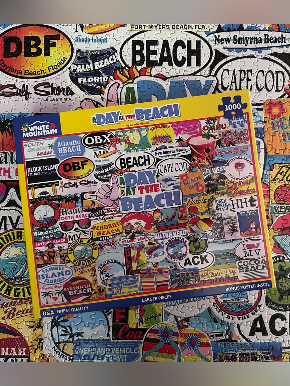 1000 piece puzzle A Day at the Beach Made in USA Travel Family Fun Game Night